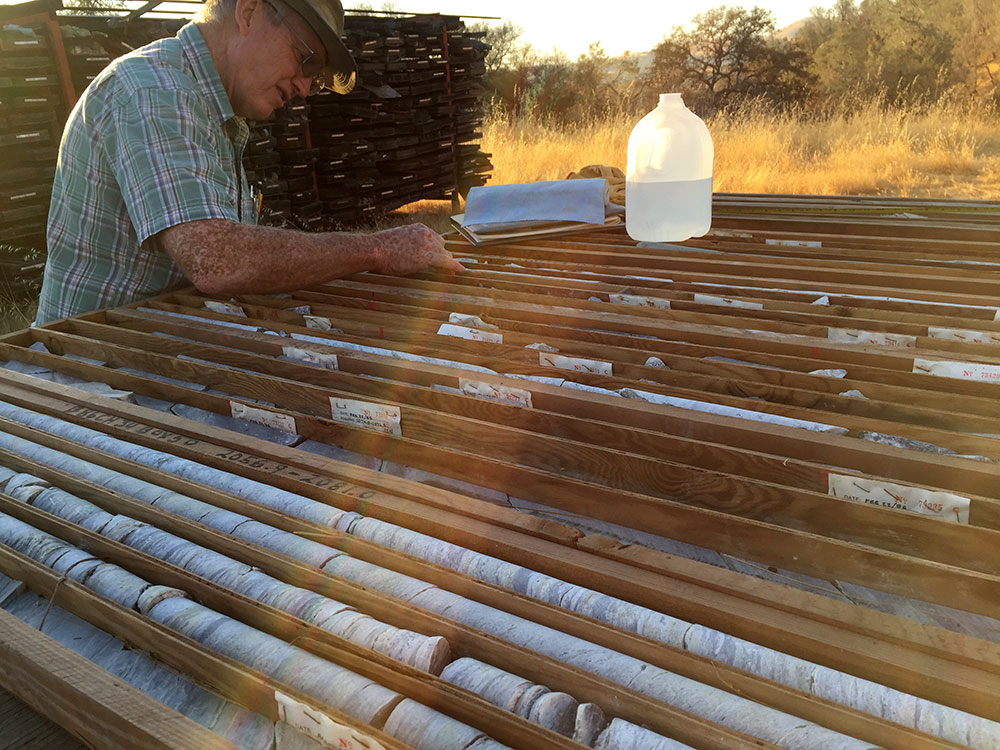 Blue Moon Drill Core