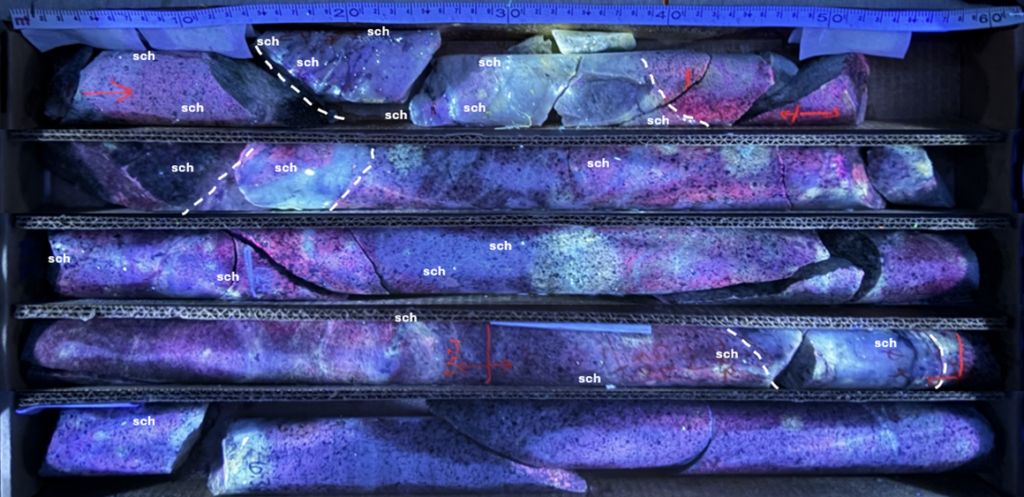 2026 07 07 Fig 4